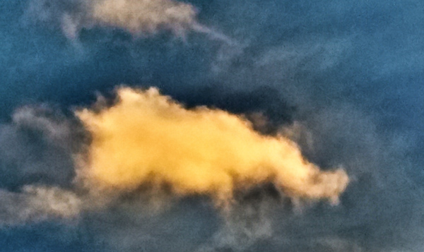 Brightly-lit clouds at sunset, surrounded by dark clouds