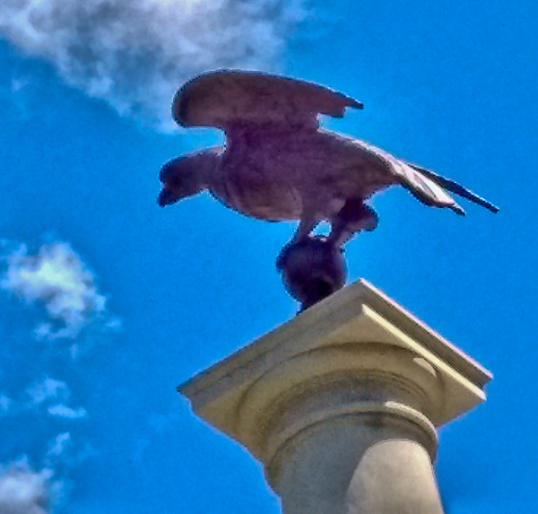 Eagle at State House Entrance
