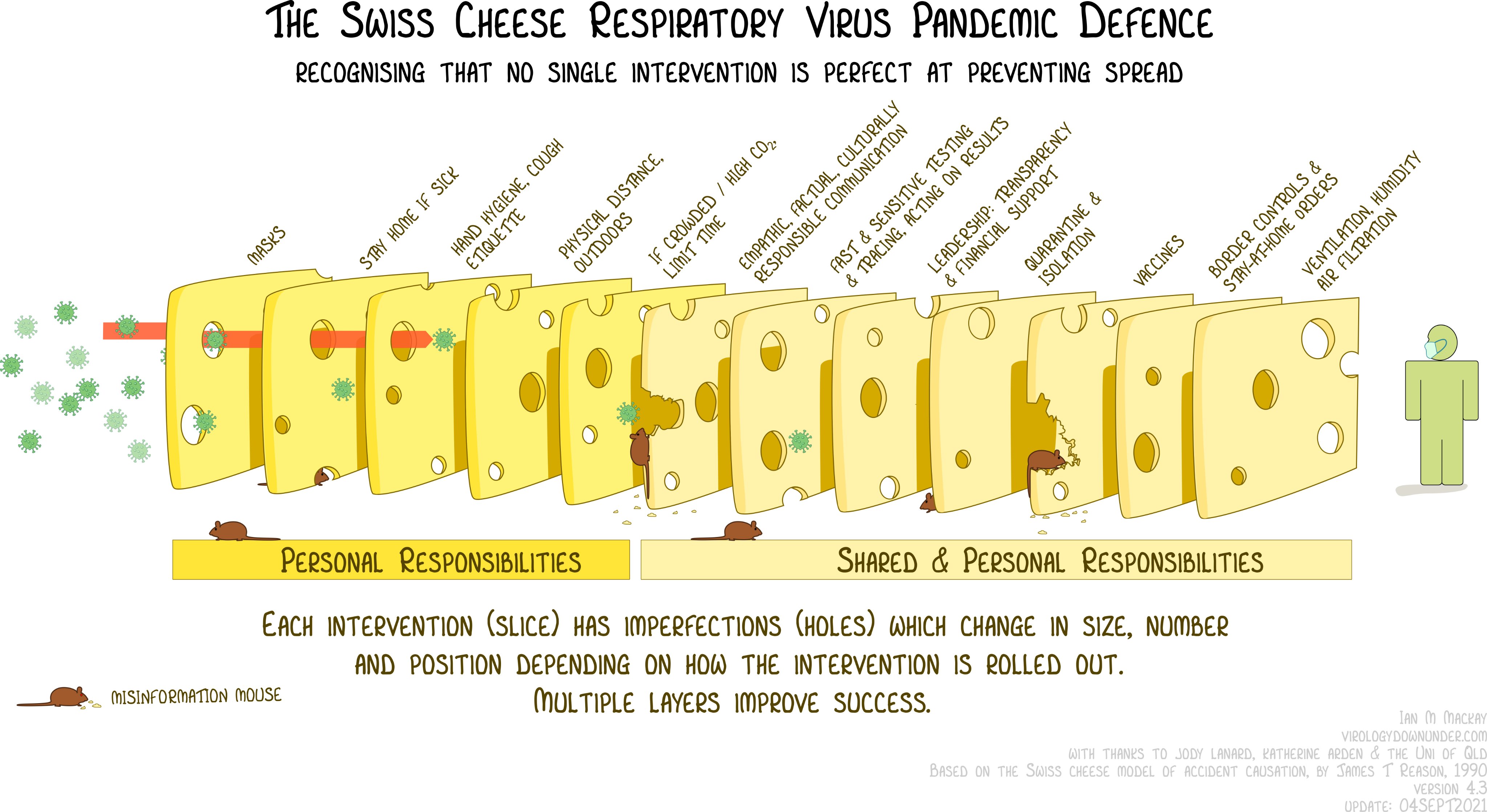 Slices of cheese with holes