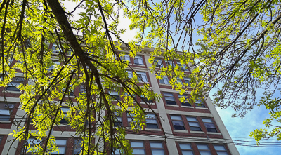 Apartment building, trees in spring