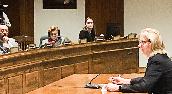 Senator Joan B. Lovely testifies before Joint Committee on Housing