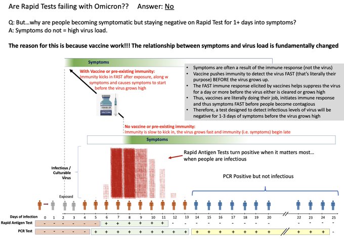 Mina: Chart explains rapid tests work with omicron