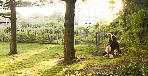 Couple sitting on bench under tree